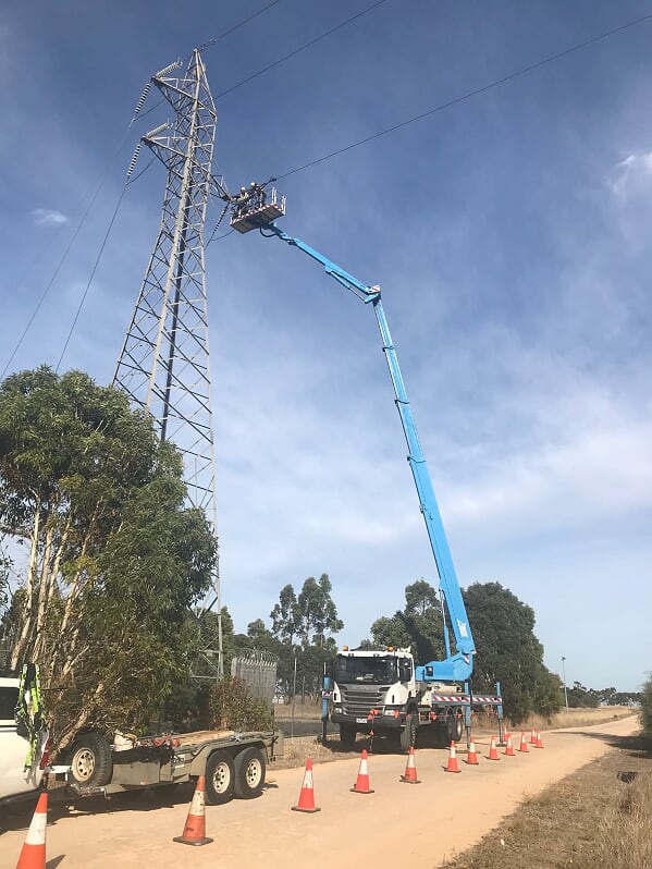 Equipment for raising cherries on a tree