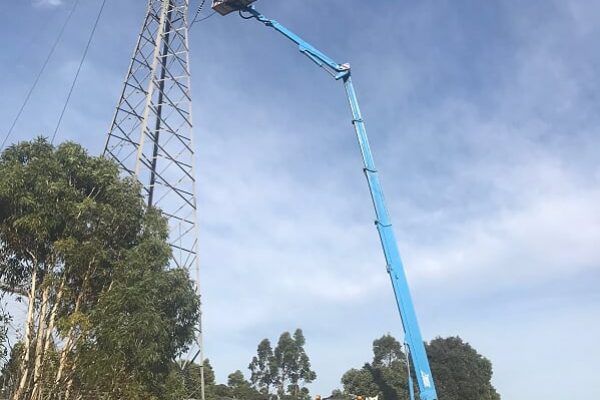 Equipment for raising cherries on a tree