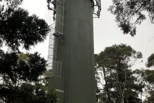 supplier of services for the global telecommunications network