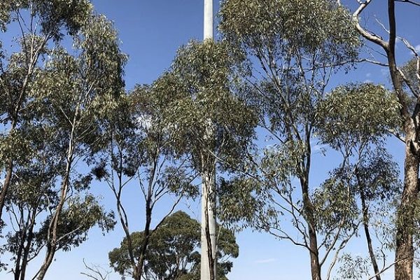 corporate entity specialising in telecommunications