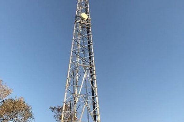 The Use of Cellular Telephones in Organizational Settings